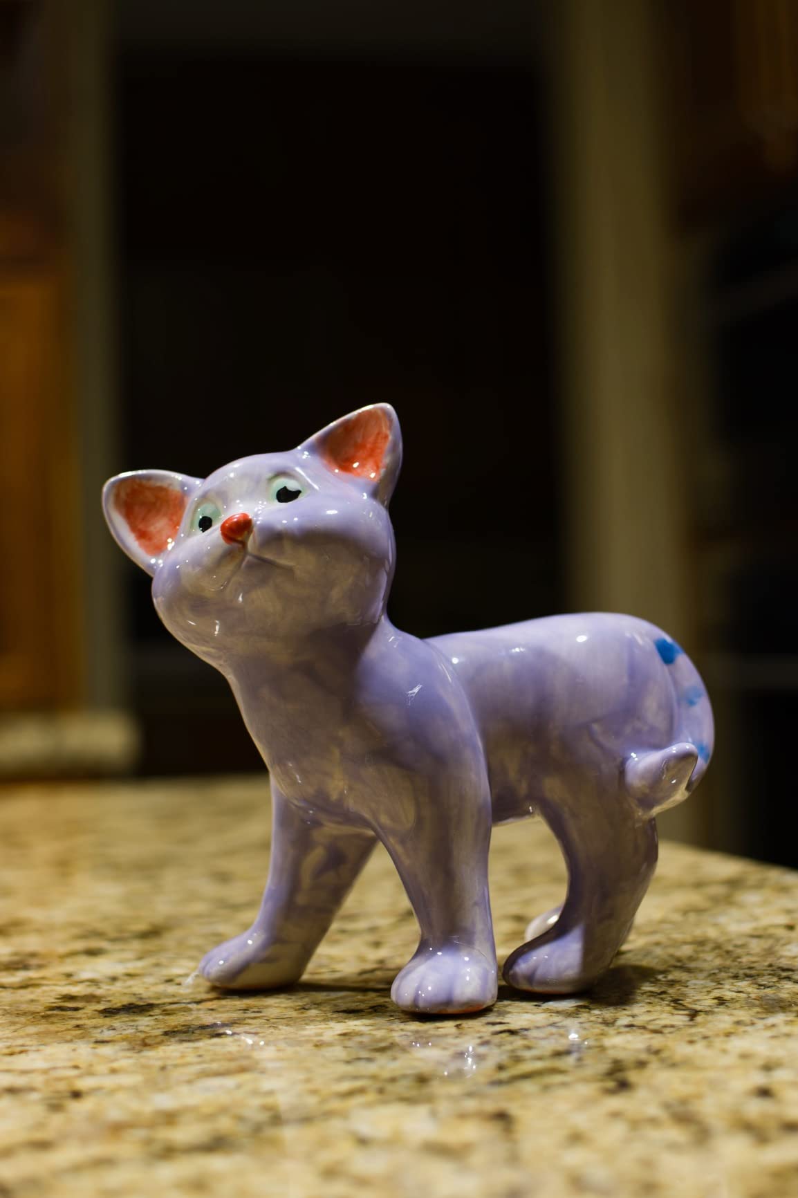 Use for photo is great, but not so for video.  Autofocus - face/eye tracking focus issue