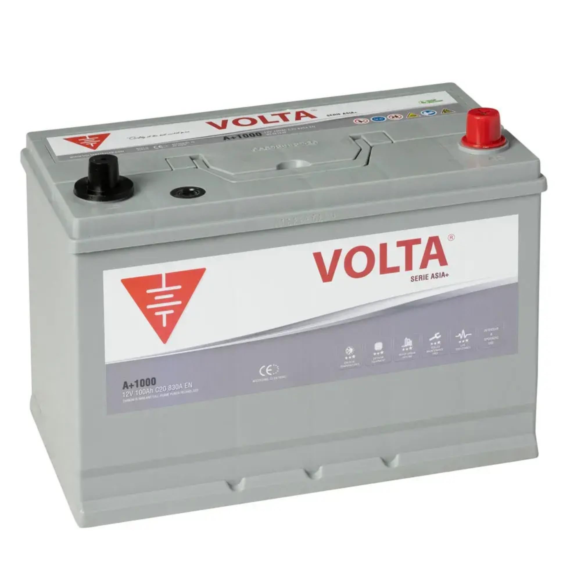 Batería de Coche 100Ah 830A - Volta A+1000D - Especial para Coches Asiáticos - 306x176x225mm - Libre de Mantenimiento, Gran Durabilidad, Fabricación Europea