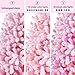 SHareconn 6ft Prelit Snow Flocked Spruce Artificial Christmas Tree with Remote (Upgraded), 330 Pre-Lit Multi-Color RGB Lights, Full Snow Branch Tips for Home, Office, Xmas Decoration, 6 FT Pink