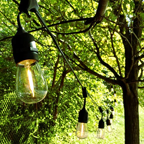 Hometown Evolution, Inc. 100 Foot E26 Led Outdoor Commercial String Lights With 50 Suspended Sockets And S14 Led Filament 1 Watt Bulbs #TOP1
