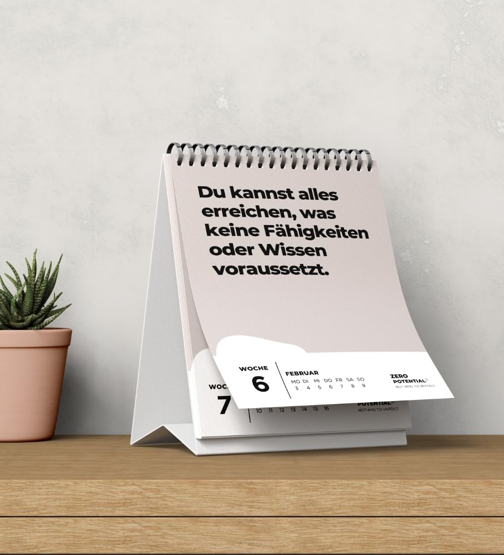 Demotivational Desk Calendar 2025 (Grey, Desk Calendar 2025 German) - Image 2