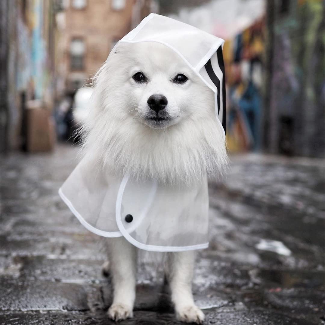 Impermeable para Perros, Chubasquero de Primavera for Perros, translúcido, Impermeable, for pequeños y medianos, Ideal for Cachorros(Blue,XXL)