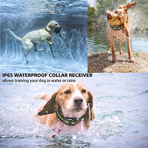 Patroaint Dog Training Collar with Three Training Modes, Waterproof Training Collar, Long Range up to 2600Ft - Image 3