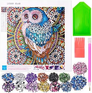 DIY Diamond Painting Kits for Kids Adults, 5d Diamond Painting Kits Full Drill Gift For Kids Women Friends Age 9 10 11 12 13, Paint by Numbers for Children Owl Gifts for 6-10 Years Old Girls Boys