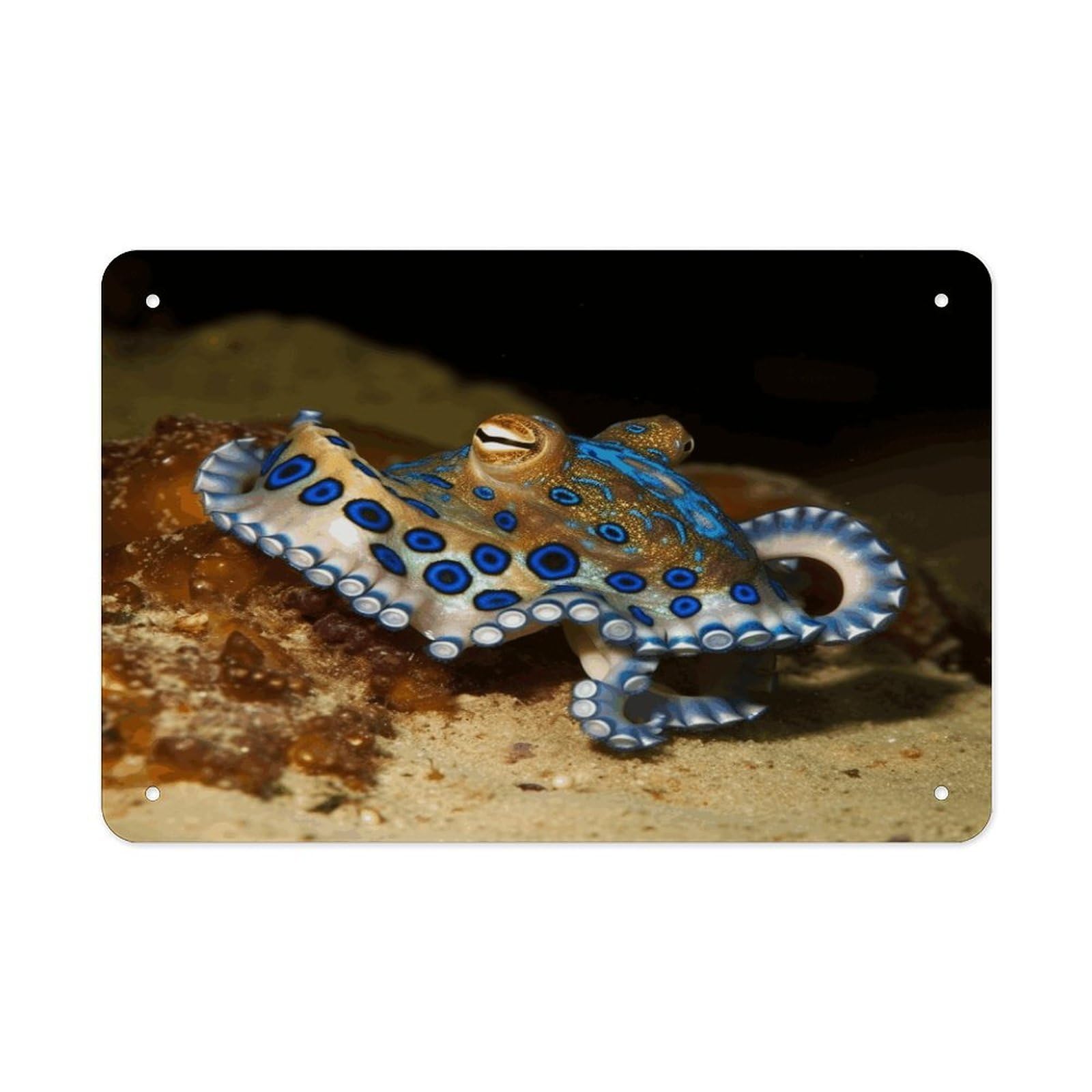 Blue Ring Octopus Metal Tin Sign 12"x8" Wall Art Prints Poster Decorative Picture Metal Signboard Decor Painting Folded Edge Iron Sheet Painting with Holes for Wall Decor