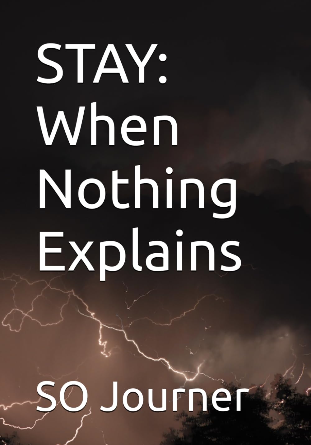 STAY: When Nothing Explains (The Wanderings)