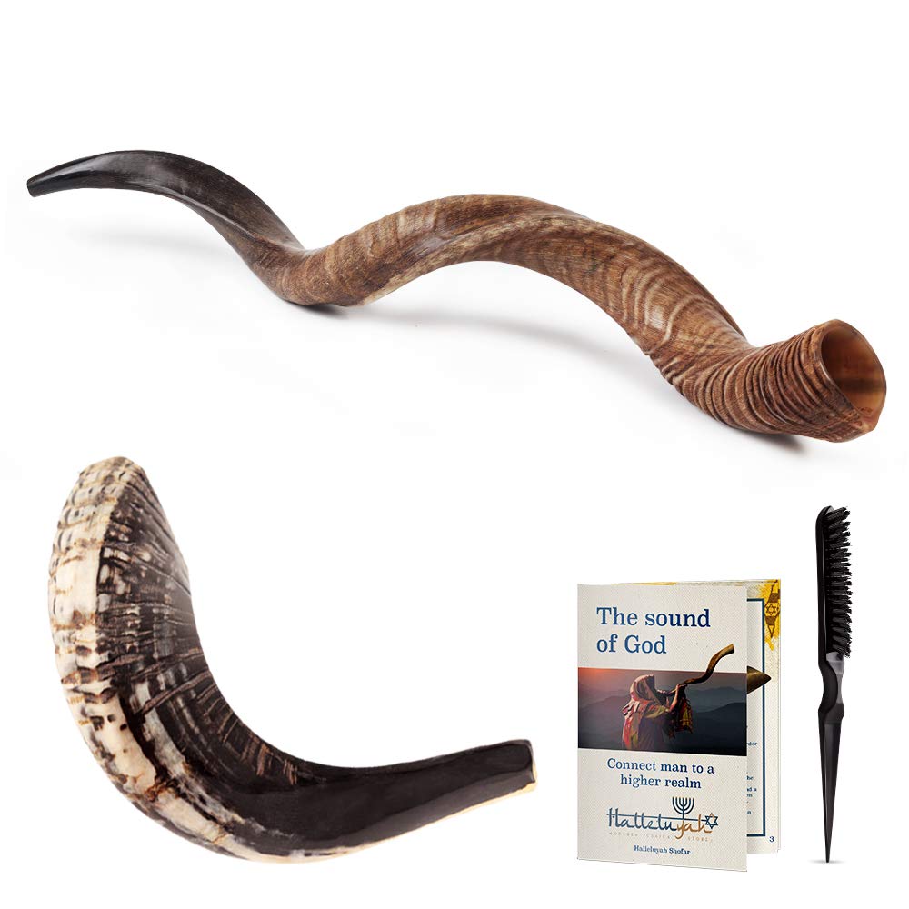 Amazon.com: 來自以色列的HalleluYAH Shofar – 天然43 吋-45 吋(約