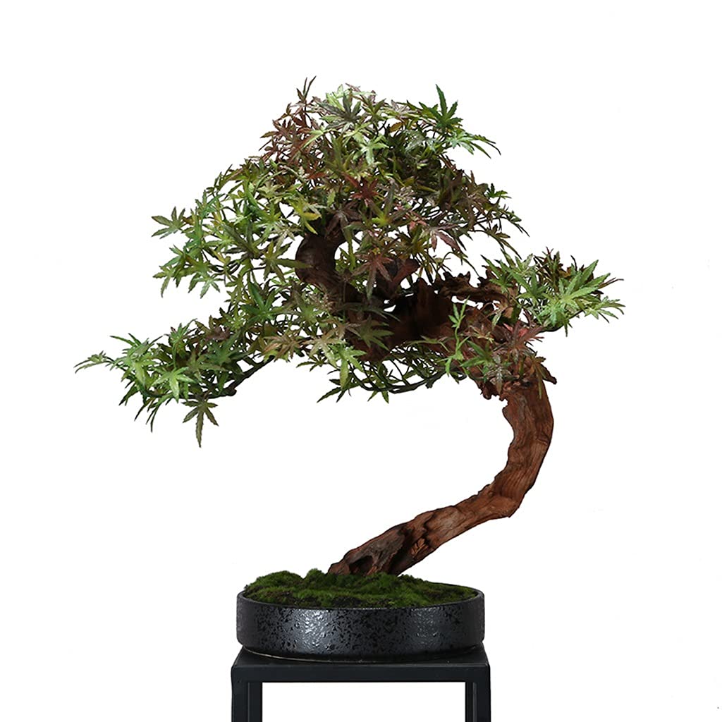 HCZKIUJY Artificial Bonsai Tree Artificial Tree Autumn Red and Green Maple Leaf Maple Bonsai Fake Green Plant Zen Ornaments Entrance Tea Room Desk Decoration Fake Plant Decoration
