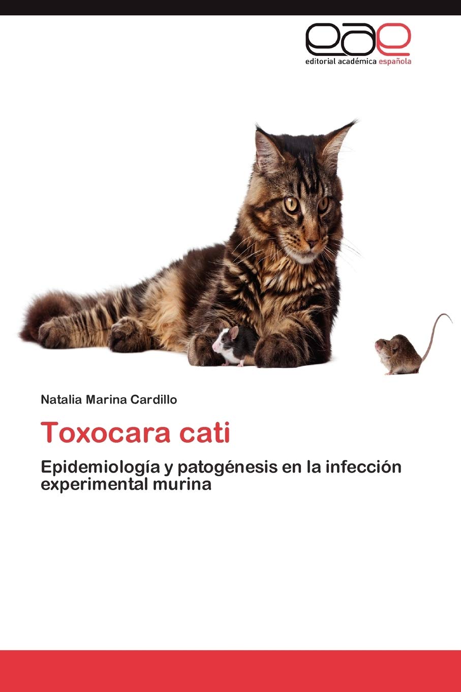 Toxocara Cati Paperback – Import, 8 February 2012