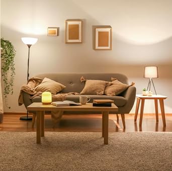 Eveready E14 LED Light Bulb, Warm White 3000K, 40W Equivalent, 470 Lumen LED Candle Bulb, SES Small Edison Screw Light Bulbs, Non-Dimmable, Pack of 3 [Energy Class F]
