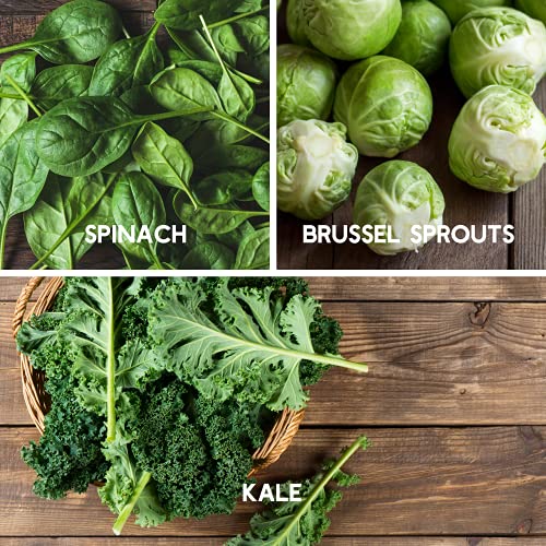 Fall Garden Heirloom Vegetable Seeds - ~3,800+ Seeds, 7 Varieties Of Seeds To Sow In Fall Months – Turnip, Beet, Chard, Echinacea, Spinach, Brussel Sprouts, And Kale Heirloom Seeds For Planting #TOP3