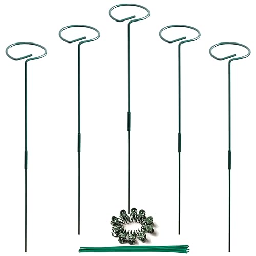 5 estacas de 30 pulgadas para plantas de jardín, varillas altas de soporte para plantas de un solo tallo para flores, amarilis, tomates, peonía,