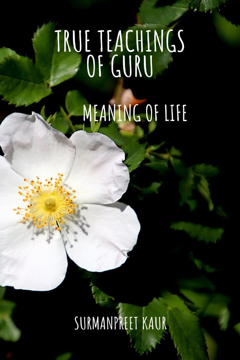 True Teachings of Guru: Meaning of Life