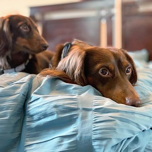 Miniatura 5 de SLEEP ZONE Juego de edredón tamaño Queen con sábanas, cama de pintuck para todas las estaciones en una bolsa, extra grueso, suave y cómodo, lavable