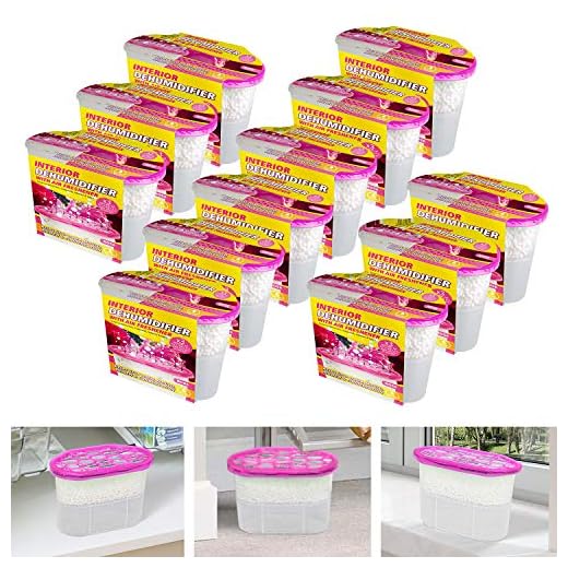 Taylor & Brown Doftande interiör avfuktare kondensation borttagare fuktabsorberare fukt i hemmet kök garderob sovrum husvagn kontor garage badrum källare 500 ml (rosa, 12)