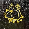 Auto Decal Sticker, Auto Venster Decal, Auto Decal Funny, Vinyl Decal Pitbull Auto Sticker Waterdichte Auto Decoratie…