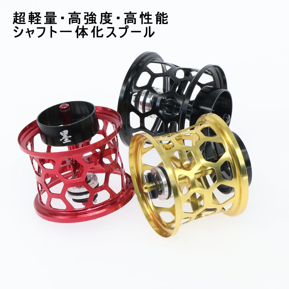 Amazon | [青嵐ルアー]ダイワ 24STEEZ 24スティーズ SV TW 100 ベイト