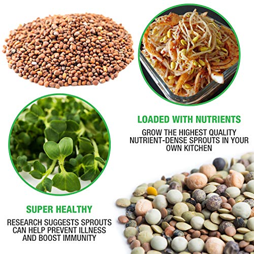 Mumm's Sprouting Seeds - Boosted Sample Pack - 1,325 GR - Organic Sprout Seed Kit - Broccoli, Radish, Alfalfa, Mung Bean
