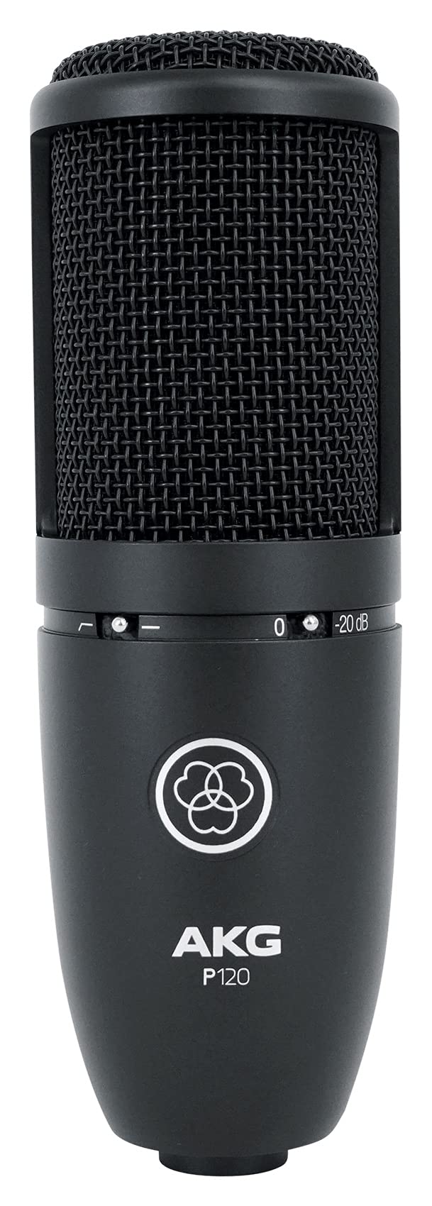 Audiosavings Bundle: AKG P120 Studio Condenser Recording/Live Streaming Microphone Professional Mic Bundle with Rockville DMS40 40