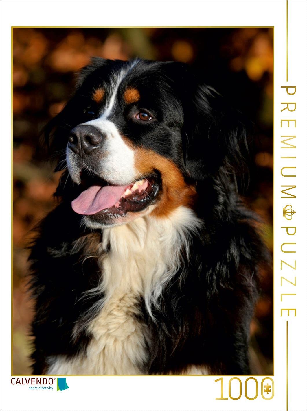 CALVENDO Puzzle Berner Sennenhund – 1000 Teile, 48x64 Cm, Premium-Qualität