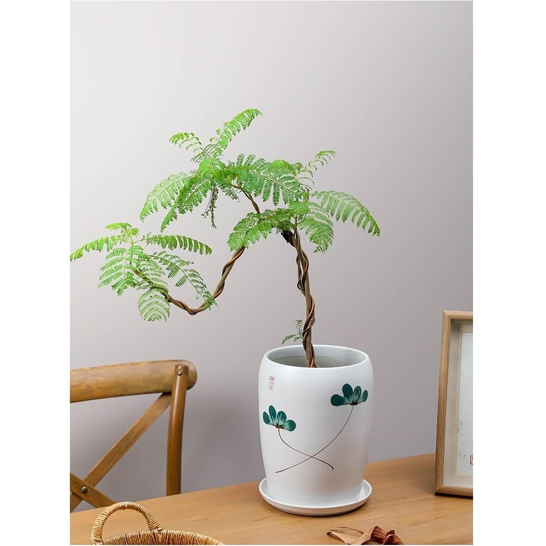 doniczka Domowa dekoracja w stylu chińskim doniczka z tacką do salonu Bonsai, średnica 20 cm