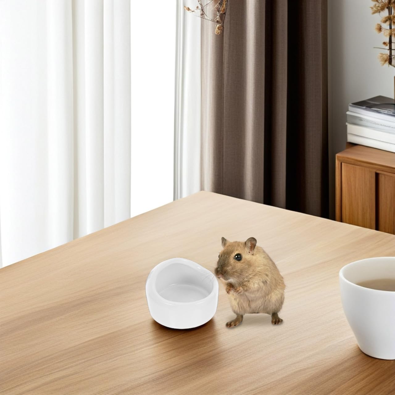 Ipetboom Hamster Keramikschale 2 Stück Hygienischer Futternapf Für Kleine Nagetiere Wie Zwerghamster Rennmäuse Meerschweinchen Leicht Zu Reinigen Anti- Schüssel Weiß