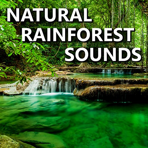 Natural Rainforest Sounds Natural Rainforest Sounds