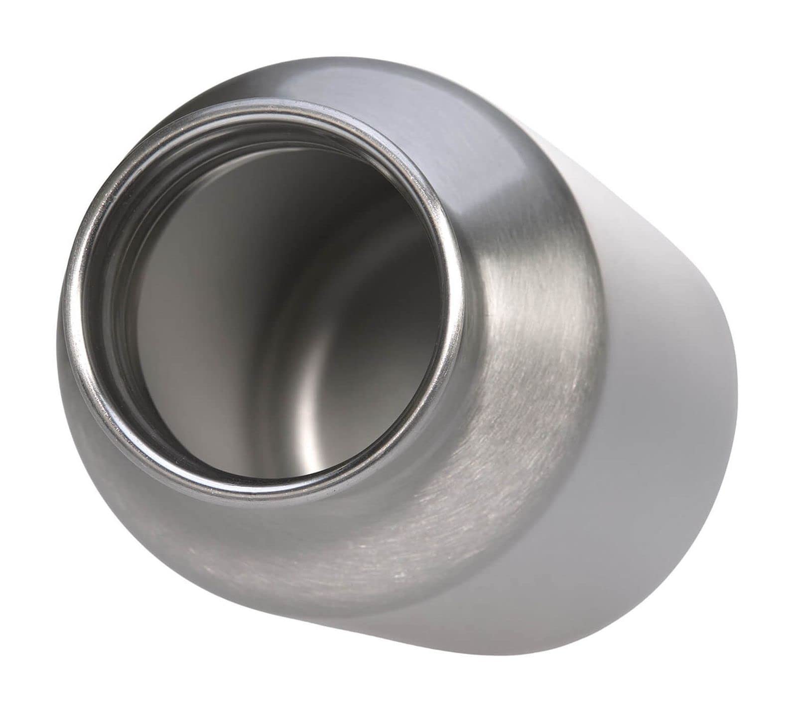 LÄSSIG Gourde en acier inoxydable pour enfants avec Sport Cup supplémentaire Anti-fuite/Bottle Stainless Steel Adventure Dragonfly
