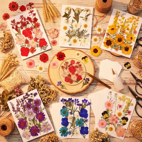 Image of Dried Flowers for Resin, 106pcs Natural Flowers and Leaves Compressed