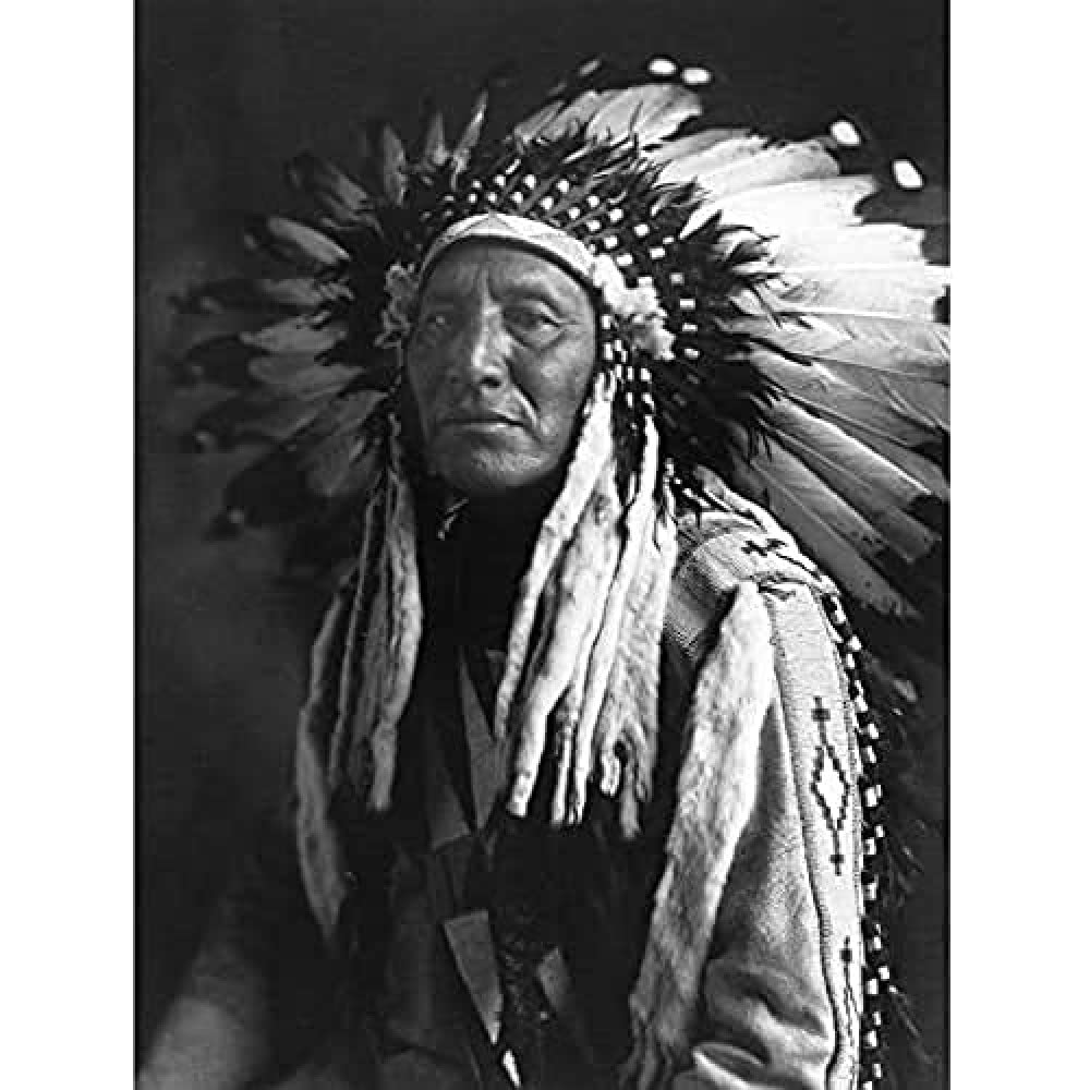 Reed Native American Chief Full Headdress Old Photo Art Print Canvas Premium Wall Decor Poster Mural