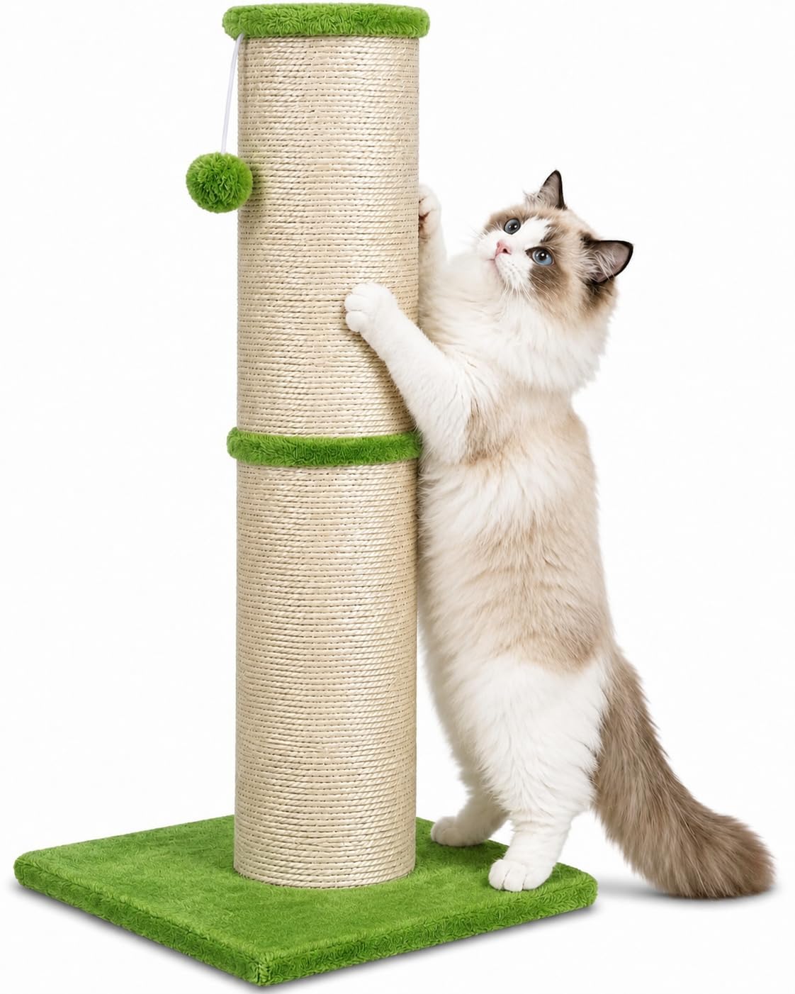 AGYM Cat Scratching Post with 5.5 Inch Diameter Sisal Post, 32 Inch,Green