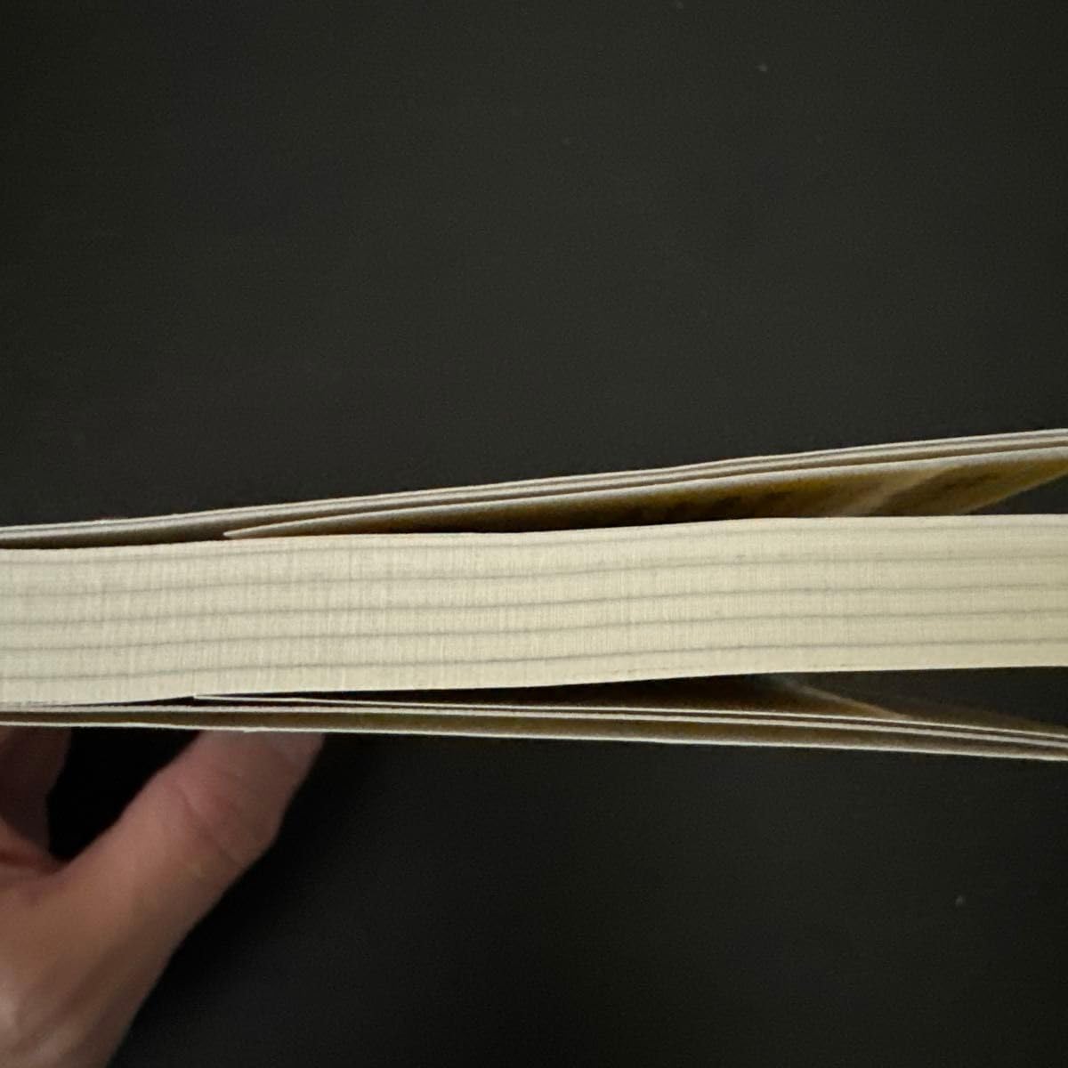 下半身に筋肉をつけると「太らない」「疲れない」 Amazon.co.jp: 下半身に筋肉をつけると「太らない」「疲れない