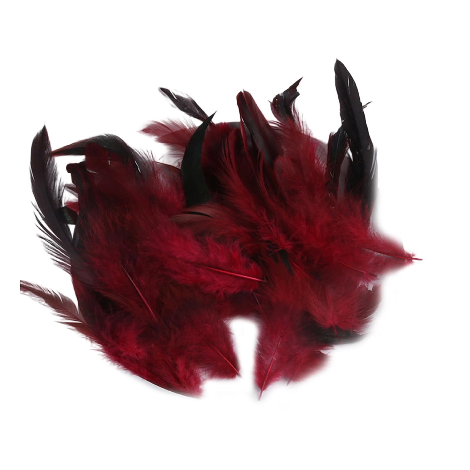 yanzunlrn 100PCS Delicate Plumage Embellishments for Creative Art Projects Suitable for Clothing Jewelry and Scrapbooking Quills for Crafting