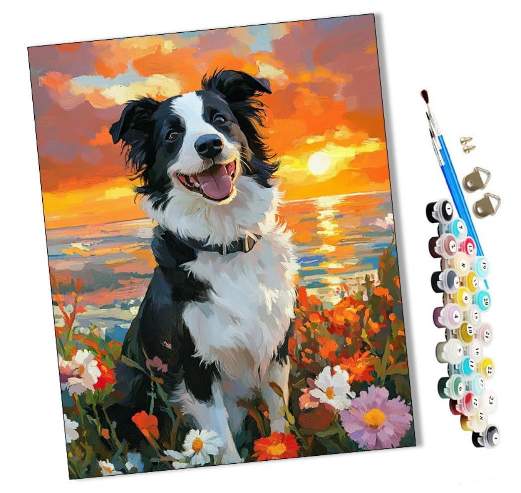 WMZPOY Paint by Numbers Border Collie in The Flowers by The sea for Adults and Kids DIY Oil Painting Gift Kits Pre-Printed Canvas Art Home Decoration 16x20 inch Frameless