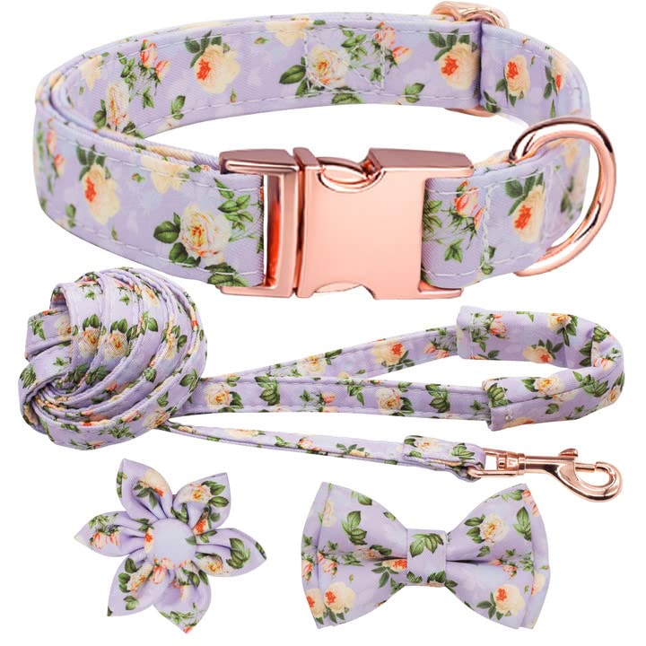 Top 10 Kate Spade Dog Collars of 2022 Katynel