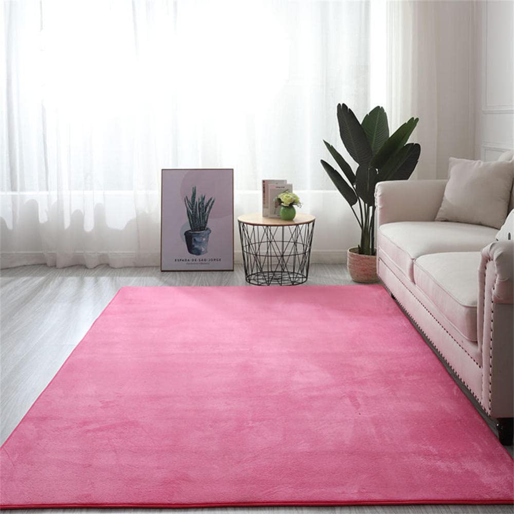 Tapis de salon moderne rose LUNEZY au toucher super doux