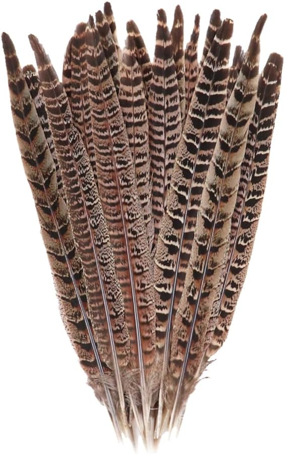 10 Pcs Long Pheasant Tail Feathers Natural Pheasant Feathers Floral Arrangement Feathers Feather Wedding Centerpiece Home Party Decorations