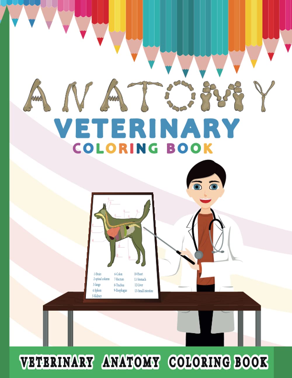 Veterinary Anatomy Coloring Book for Kids: Detailed Animal Physiology Learning Workbook for Children / Perfect Gift for Animal Lovers, Aspiring Vet Tech & Students
