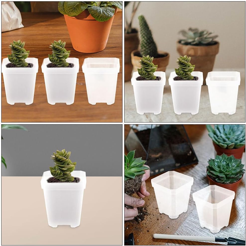 BESPORTBLE 50pcs Small Plant Pots: Transparent Square Nursery Pots for Succulents - Plastic Planter Indoor Gardening and Home Decoration