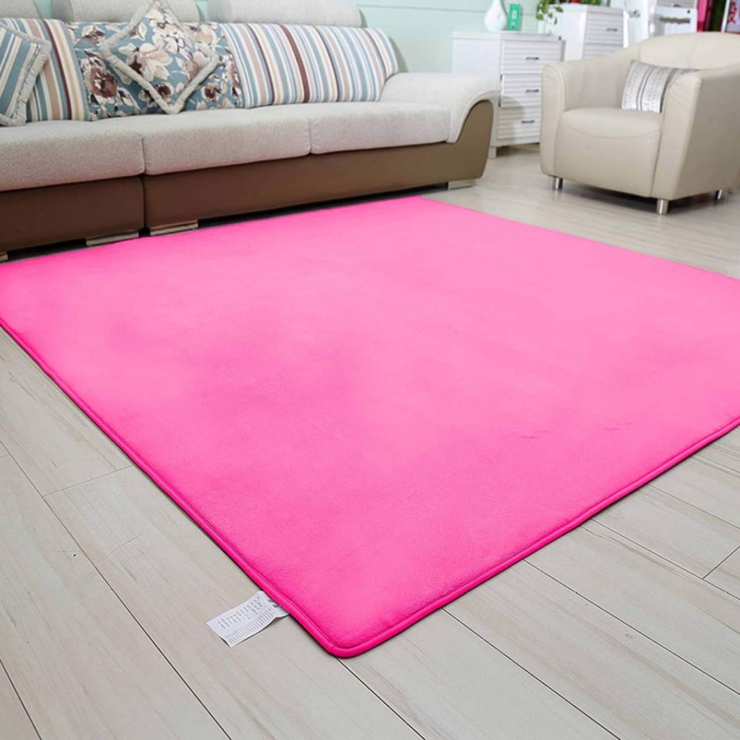 Amazon.co.jp: Carpet, 2 Tatami Mats, Rose Red, 2 Tatami, 35.4 x 78.7 inches  (90 x 200 cm), Stylish, Cheap, Floor Heating Compatible, Rug, Japanese  Room, Light Blue, Mat on Tatami Mats, Flooring,