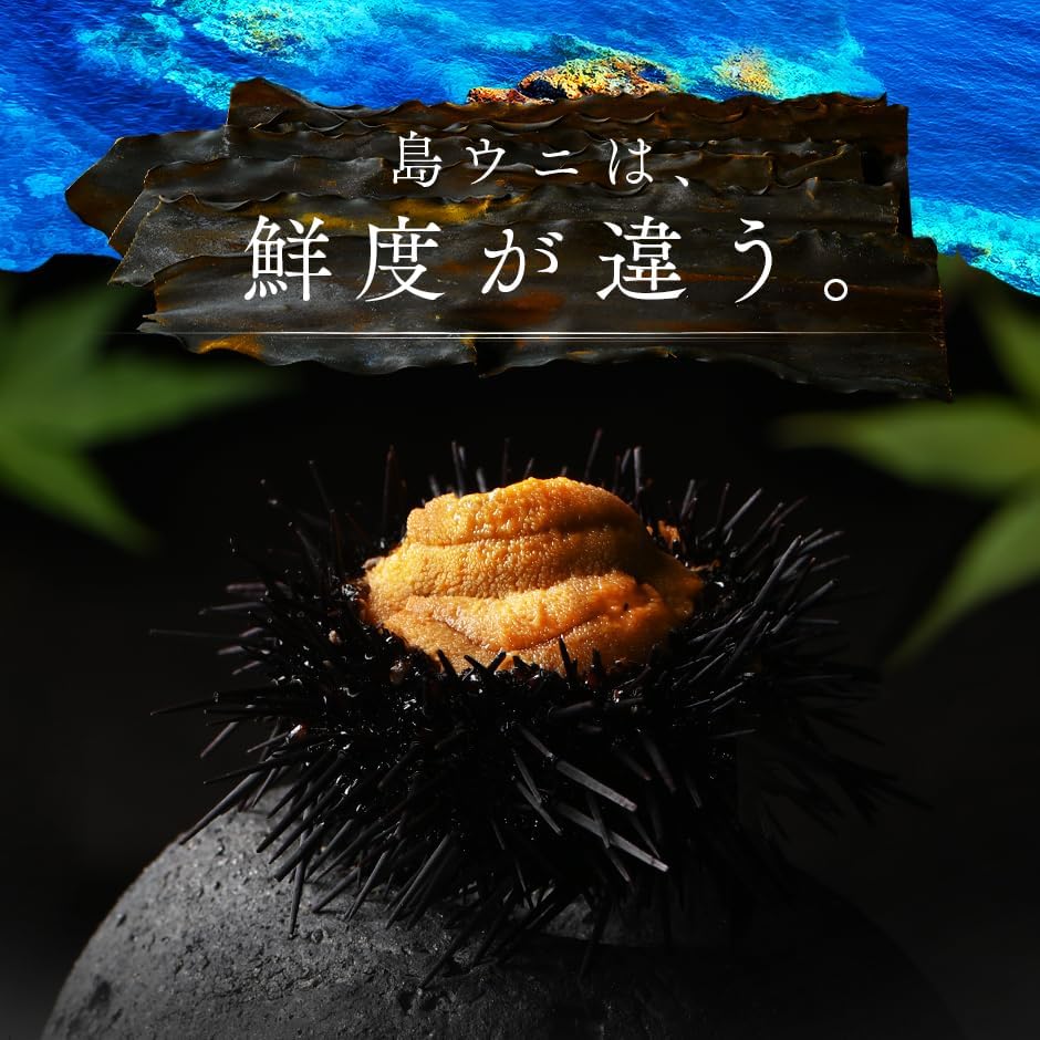 島の人 うに 北海道 礼文・利尻島産 生エゾバフンウニ 80g 生うに 雲丹 ウニ 生食用 塩水パック 無添加 刺身 冷蔵 バフンウニ