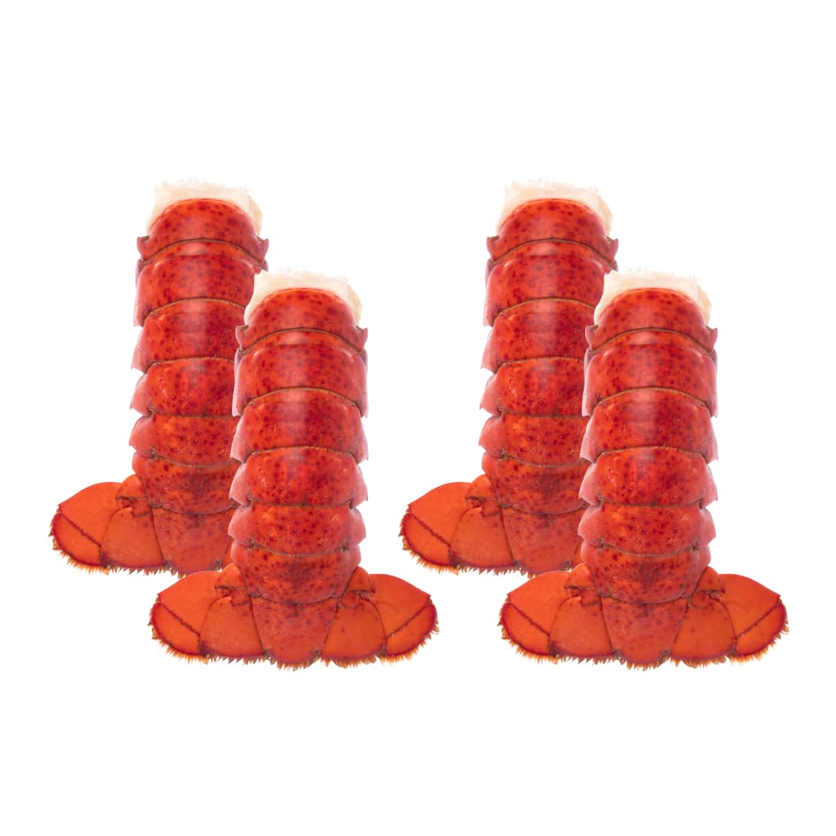 Get Maine Lobster - Sweetest Maine Lobster Tails - 4-5 oz - Extra-Sweet - Wild-Caught & Flash-Frozen - Sustainably Harvested