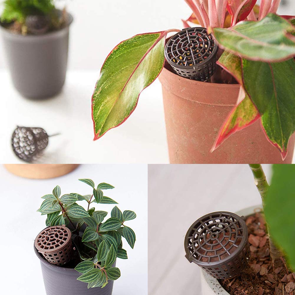 Bonsaï Outil avec Couvercle Boîte Engrais Organique 30 pcs Plastique Epandeur Rangement Plantes