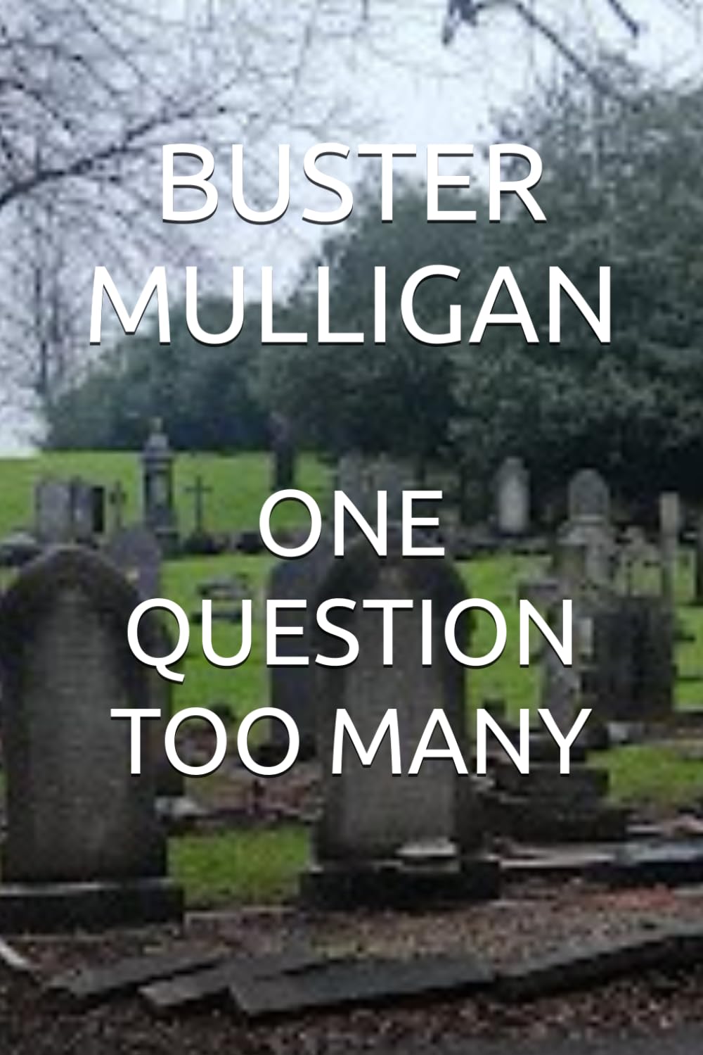 ONE QUESTION TOO MANY