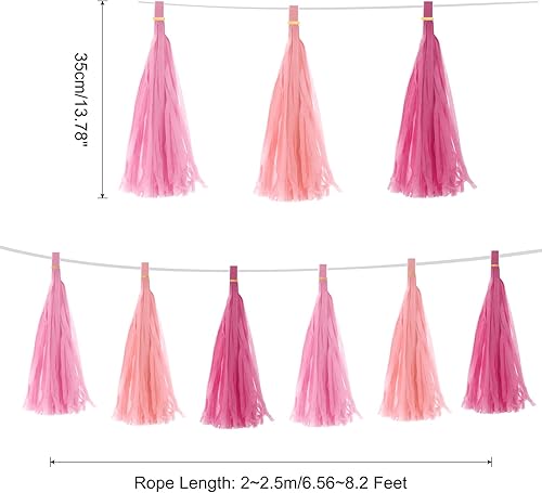 Vista 105 de MECCANIXITY 15Pcs Dark Purple Tassel Garland Banner with Rope Tissue Paper Tassels Party DIY Kits for Anniversary Wedding Birthday Party