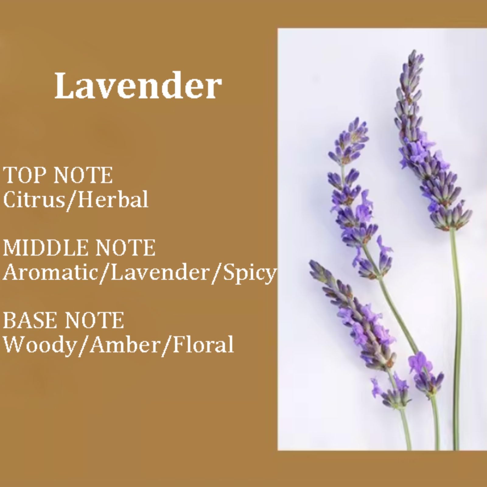 Compacto Velas de cáscara de coco, vela de soja Natural reutilizable, vela perfumada redonda for vacaciones en casa, relajación y Spa no es picante(Lavender)