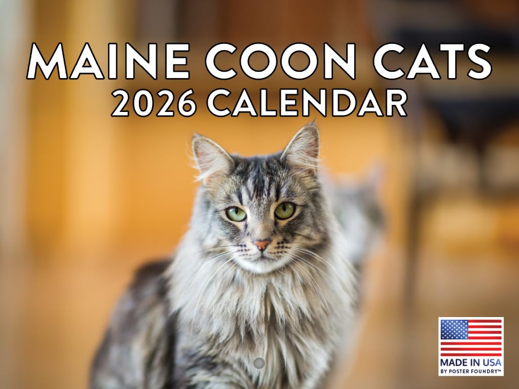 Maine Coon Cat Calendar 2026 Monthly Wall Calender 12 Month | American Made In The USA
