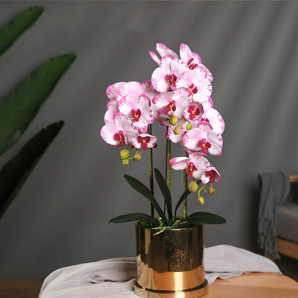 Plantes artificielles Phalaenopsis pour illuminer votre intérieur