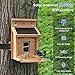 Solar Smart BirdFeeder with Camera - Auto Capture, Interactive Wood House for Wild Birds - Great Gift for Bird Lovers