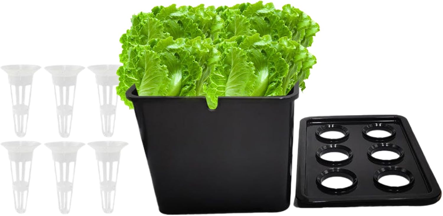 Hydroponics Plant Growth System Complete Set 6-Hole Germination System Household Propagation Box for Vegetables Indoors Outdoors Garden Greenhouse Farm Backyard Windowsill Balcony